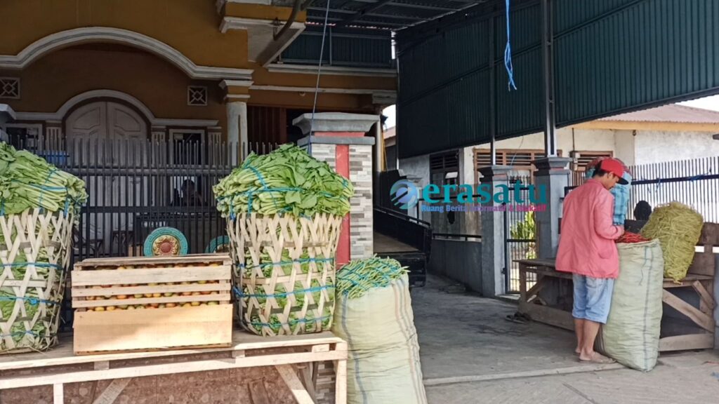 Harga Sayur Melonjak Tajam