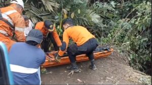 Sopir Truck Masuk Jurang Ditemukan