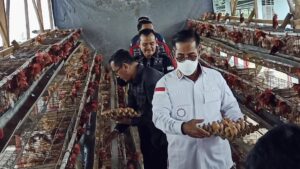 Kakanwil Kemenkum HAM Bengkulu Tinjau Peteranakan Unggas Lapas Curup