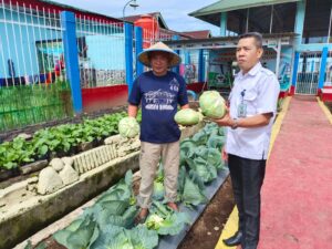 Manfaatkan Lahan, WBP Lapas Curup Berhasil Budidaya Sayur Kol