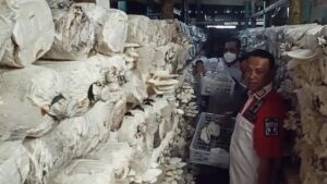 Capaian PNBP Lapas Curup Lampaui Target