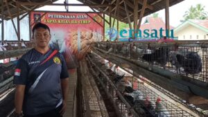 Lebih Menjanjikan, WBP Lapas Curup Ternak Ayam Arab