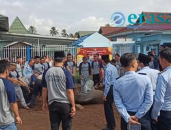 Usai Solat Ied, Lapas Curup Potong 3 Ekor Sapi