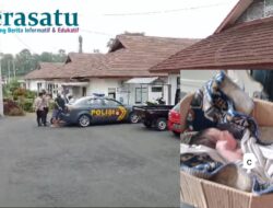 Bayi Baru Lahir Dalam Kardus Ditemukan di Halaman RSUD Curup