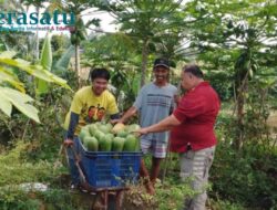 Libatkan WBP, Lapas Curup Optimalkan Pengolahan Lahan Kosong