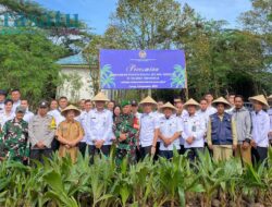 Lapas Curup Dukung Program Nasional, Tanam Seribu Pohon Kelapa di Air Bening