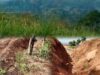 Program Cetak Sawah di Rejang Lebong Terbengkalai, Warga Keluhkan Tak Ada Air