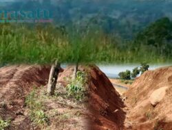 Program Cetak Sawah di Rejang Lebong Terbengkalai, Warga Keluhkan Tak Ada Air