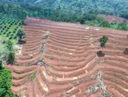 DPRD Bengkulu Soroti 587 Hektare Sawah Baru di Rejang Lebong Belum Berfungsi