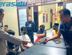 Pelaku Pelemparan Batu ke Truk di Jalur Curup-Lebong Ditangkap, Polisi Ungkap Motif Dendam Berujung Salah Sasaran